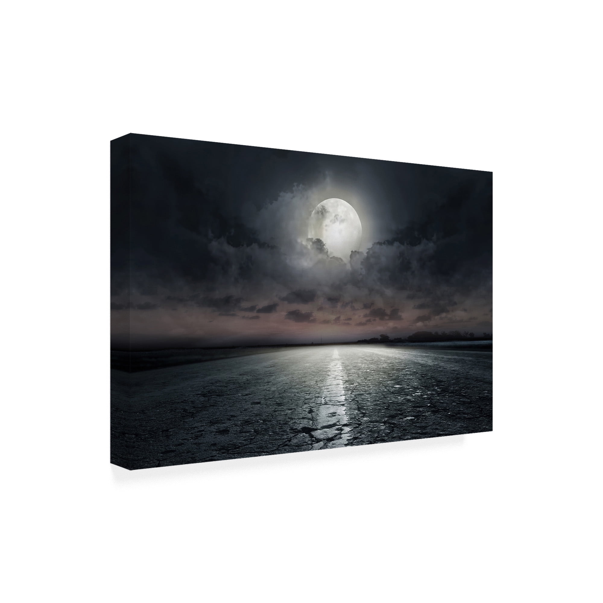 Trademark Fine Art 'Moon Street' Canvas Art by PhotoINC Studio