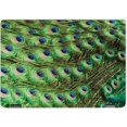 thumbnail image 1 of generic MightySkins Skin for Lenovo IdeaPad Flex 5 16" 2022 Full Wrap Kit Multicolour Peacock Pattern, 1 of 5
