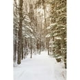 thumbnail image 3 of Aledanda 13x18 Black Modern Framed Museum Art Print Titled - Through the Woods, 3 of 5