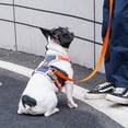 thumbnail image 3 of Dog Chest Harness Traction Rope, Breathable Pet Vest for Outdoor Walking Training Control for Medium Large Breeds Orange L, 3 of 8