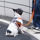 thumbnail image 3 of Arnés para el pecho para perros, cuerda de tracción, chaleco transpirable para mascotas para caminar al aire libre, control de entrenamiento para razas medianas y grandes Xemadio 2034480-7, 3 of 9