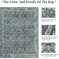 thumbnail image 3 of Ptm Images, Academic Raspberry Illustration Decorative Canvas Wall Art, 16×1.5×20, 3 of 8