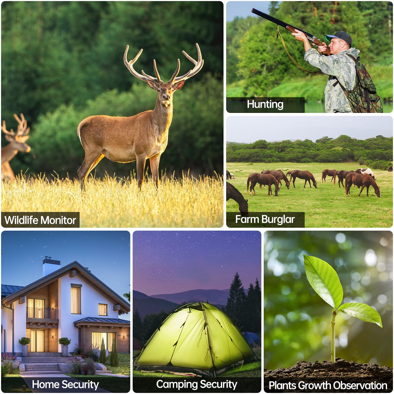 CAMPARK Trail Camera WiFi Buletooth 20MP 1296P Game Hunting Camera Infrared Night Vision Waterproof IP66 Motion Activated 2.4" Color TFT LCD Trail Cam for Wildlife Monitor