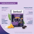 Sambucol Black Elderberry Throat Lozenges with Vitamin C, Zinc and ...