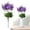 Purple, variant on Delphinium Artificial Flowers 1PC Purple Fake Flowers 13.5" Tall Flowers Faux Delphinium for Floor Vase Light Purple Flowers for Wedding Centerpieces Home Decor Indoor(White)