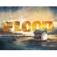 thumbnail image 1 of Pre-Owned Flood (Paperback) 9781623700010, 1 of 1
