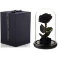 thumbnail image 1 of Rosa eterna real conservada en cúpula de cristal, regalo para ella, Acción de Gracias, Navidad, Día de San Valentín, cumpleaños, Día de la Madre (negro), 1 of 4