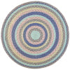 Blue/Green, variant on SAFAVIEH Cape Cod Robynne Geometric Area Rug, Blue/Green, 6' x 9' Oval