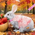 thumbnail image 4 of Breathable Mesh Pet Leash, Adjustable Traction Harness With Vests Style Design, for Small Animal, Pink, 4 of 6