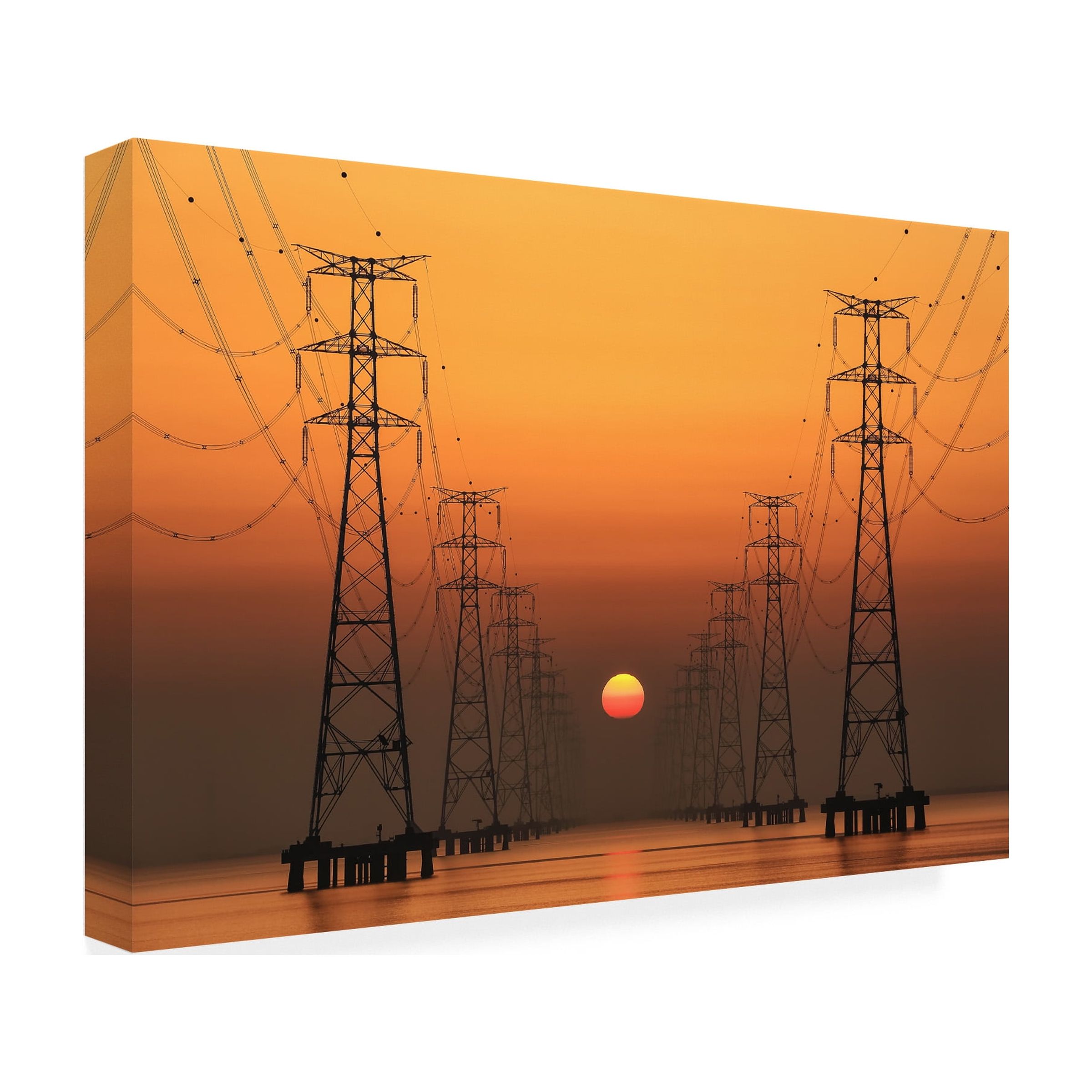 Trademark Fine Art Tiger Seo Power Line Canvas Wall Art - 22x32