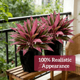 thumbnail image 4 of 2Pcs Artificial Cordyline Fruticosa Logs Tropcial Plant 21.6in Fake Dracaena Tree for Indoor Outdoor Office Home Living Room Patio Greenery Porch Decor, 4 of 7