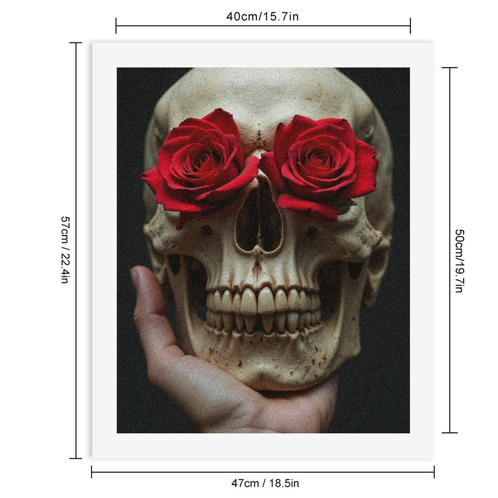 Paint By Numbers Kit for Adults Beginner - DIY Skull Roses Art Display Canvas Painting Kits for Adults, Frameless Paint By Number for Adults for Home Wall Decor 16x20 Inch