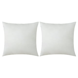 QSWRD 18 x 18 Pillow Inserts Set of 2 Outdoor Pillow Inserts Waterproof  Square Premium Throw Pillow Inserts Decorative Couch Pillow Inserts White  Sofa