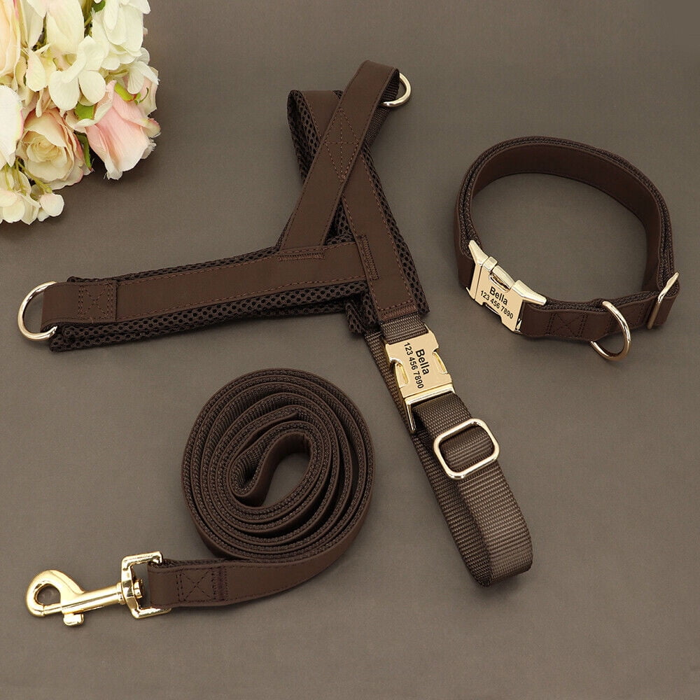 Pet Artist 3pcs Personalized Dog Harness & Collar & Leash set Metal ID Name Metal Buckle Mesh Padded Adjustable