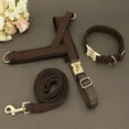thumbnail image 6 of Pet Artist 3pcs Personalized Dog Harness & Collar & Leash set Metal ID Name Metal Buckle Mesh Padded Adjustable, 6 of 8