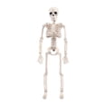 thumbnail image 1 of de Halloween Modelo Articulaciones ajustables horrible Boceto Sunnimix  Halloween Skeleto, 1 of 4