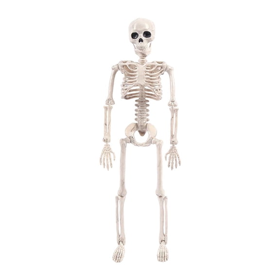 de Halloween Modelo Articulaciones ajustables horrible Boceto Sunnimix  Halloween Skeleto