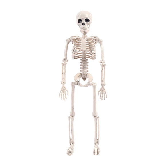 de Halloween Modelo Articulaciones ajustables horrible Boceto Sunnimix  Halloween Skeleto