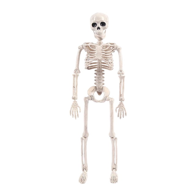 de Halloween Modelo Articulaciones ajustables horrible Boceto Sunnimix Halloween Skeleto