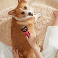 thumbnail image 6 of 2 in 1 Professional Grooming Rake for Cats & Dogs-Dematting Comb for Easy Mats & Tangles Removing,Hair Removal Cleaner for Pets(Red), 6 of 6
