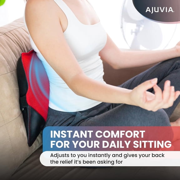 Back Vitalizer Lumbar Support Pillow