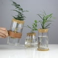 thumbnail image 4 of Jarrón de vidrio hidropónico creativo, micropaisaje transparente, decoración ecológica para pecera, arreglo floral con plantas hidropónicas de rábano verde, manualidades, 4 of 6