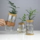 thumbnail image 5 of Jarrón de vidrio hidropónico creativo, micropaisaje transparente, decoración ecológica para pecera, arreglo floral con plantas hidropónicas de rábano verde, manualidades, 5 of 6