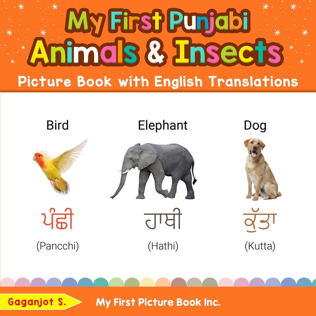 Teach & Learn Basic Punjabi Words for Children: My First Punjabi Animals &  Insects Picture Book with English Translations : Bilingual Early Learning &  Easy Teaching Punjabi Books for Kids (Series #2) (