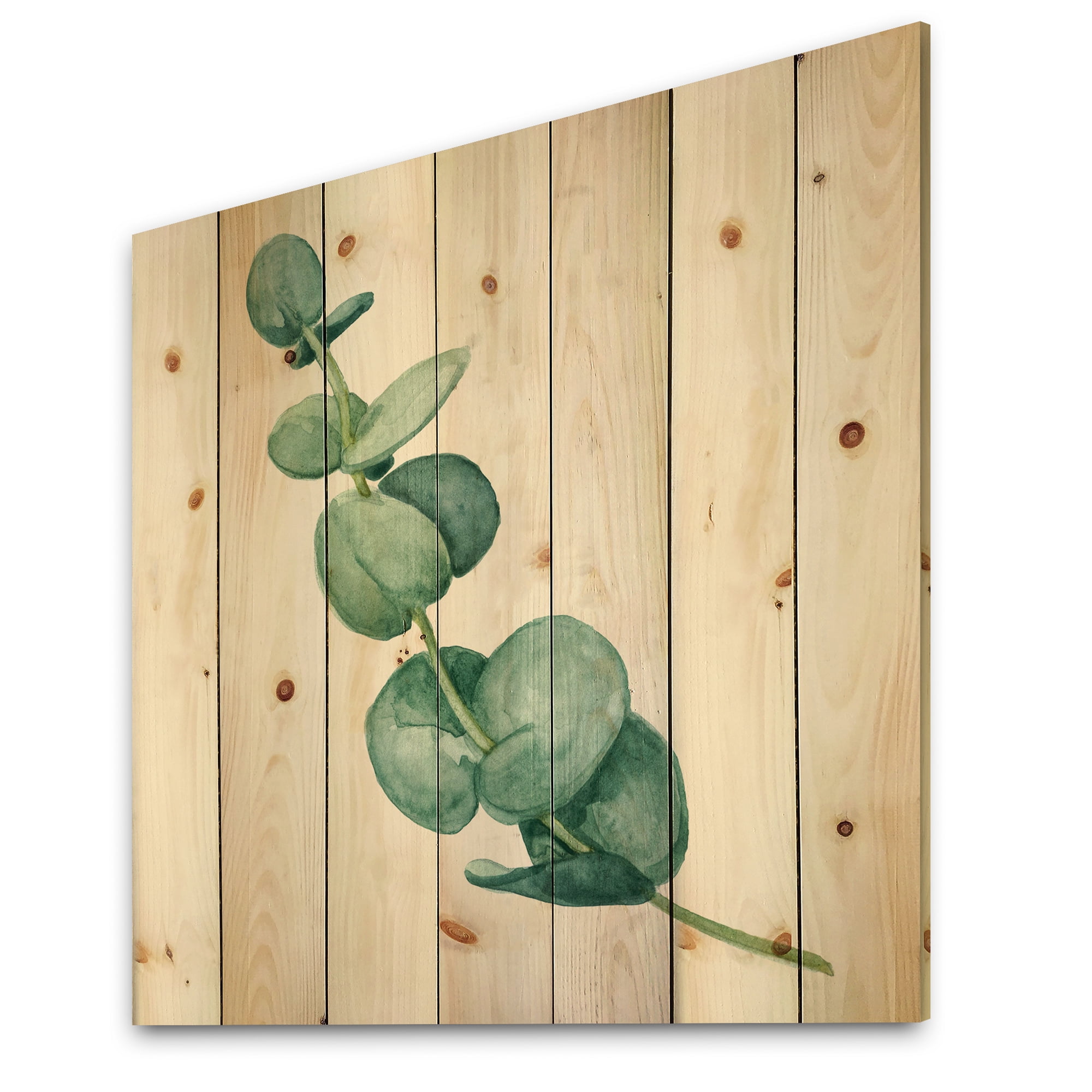 Designart 'Young Eucalyptus Branches and Leaves II' Traditional Print on Natural Pine Wood