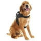 thumbnail image 1 of Mascretta Pechera para Perro. Arnés para Perro Mascretta  Pechera para Perro, 1 of 6