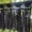 Black, variant on Boho Curtains Singel Panel, 40" W x 84" L, Strips Lace Doorway Curtain, Country Macrame Curtain, Privacy, Hand Made Crochet Top, Bohemian Room Divider Wedding Backdrop Wall Decor Creamy