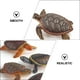 thumbnail image 2 of GOOHOCHY 4 piezas Figuras de tortugas juguetes Tortuga marina realista Modelo de tortuga de animales de plástico pequeños para la bañera de la piscina del juguete, 2 of 7