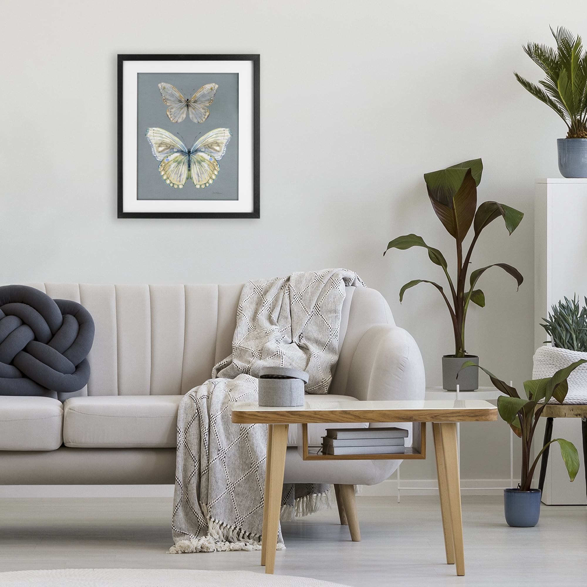 Stupell Industries Butterfly Pair Study Black Framed Print Under Glass, design by Carol Robinson