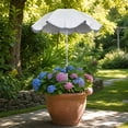 thumbnail image 1 of MTBLYS Sombrilla para plantas de exterior | Protección solar ajustable | 65 cm de diámetro | Sombrilla de jardín para macetas | Cubierta de sombra para plantas en maceta | Maceta, 1 of 5