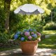 thumbnail image 1 of MTBLYS Sombrilla para plantas de exterior | Protección solar ajustable | 65 cm de diámetro | Sombrilla de jardín para macetas | Cubierta de sombra para plantas en maceta | Maceta, 1 of 5