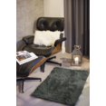 thumbnail image 5 of H-Luxe Hudson Faux Fur2'X3' Rug, 5 of 5