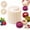 1pcs, variant on Creative Double-Ended Pastry Mold, Double Sided Baking Mold for Cookies
Create beautiful cookies, pastries, and desserts at home with a creative double-ended mold for easy shaping, decorating