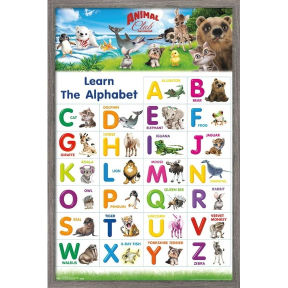 Animal Club - Letters ABC Wall Poster, 14.725" x 22.375", Framed