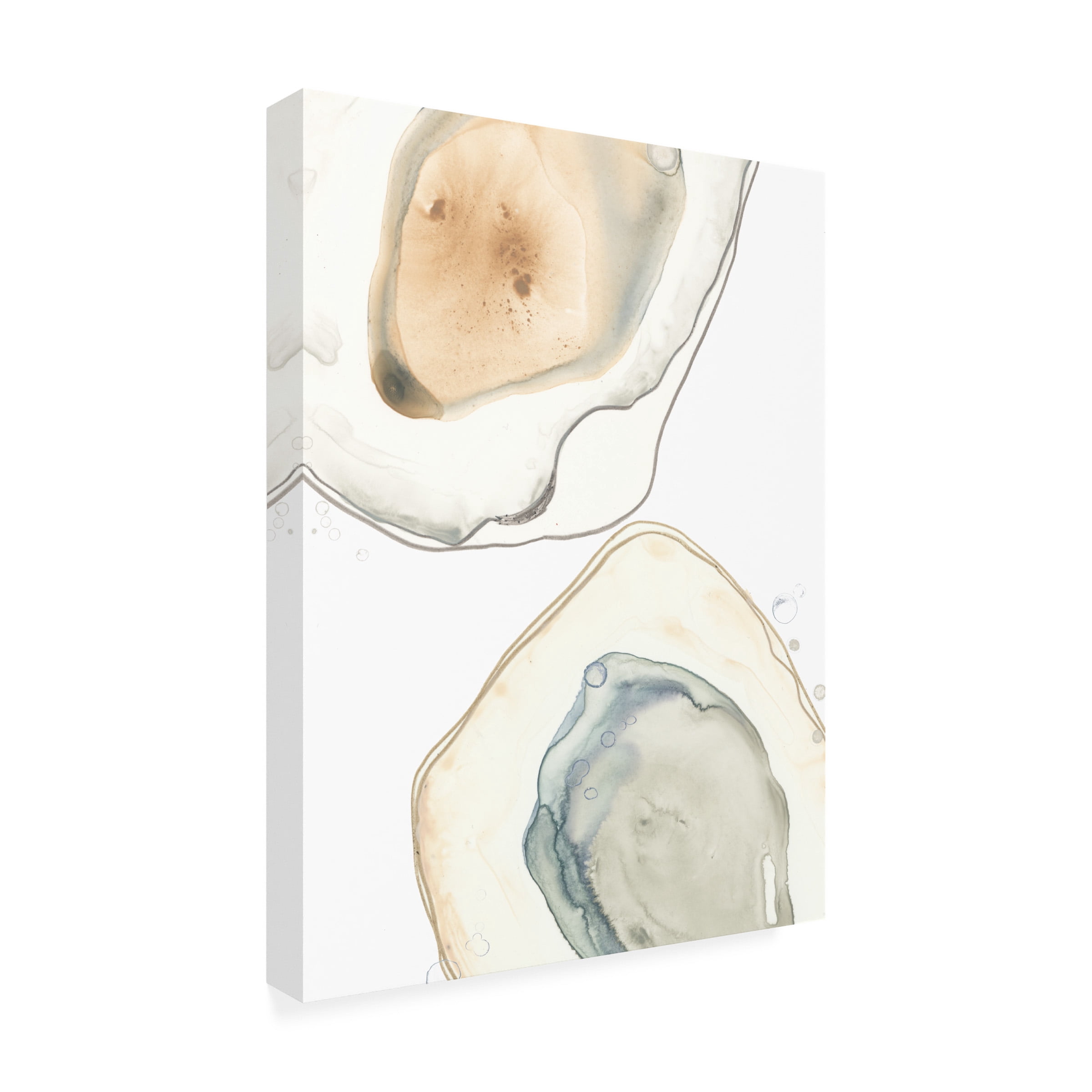 June Erica Vess 'Ocean Oysters III' Canvas Art