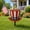 style A, variant on Heavy Duty Metal Yard Stake for Independence Day, Patriotic Garden Decor with Flag Colors, Outdoor Metal Porch Statue for Flower Bed 11.81in