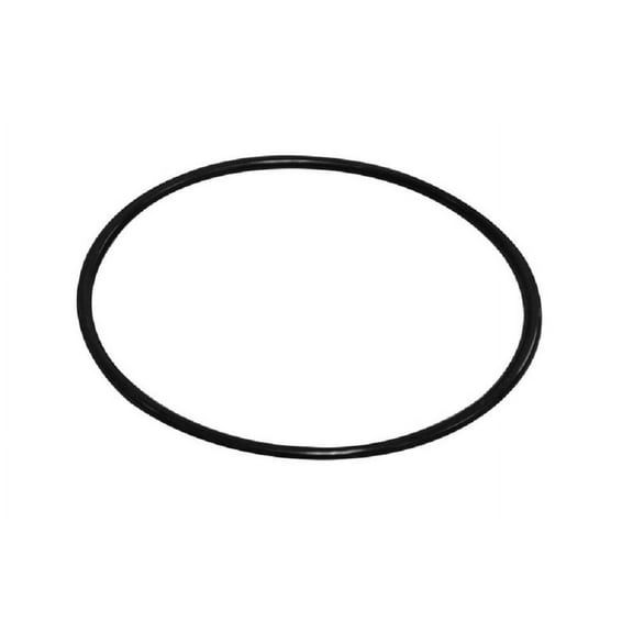 1720-0244 Hypro Pump Body O-Ring, Replacement Part For 2" Poly Transfer Pump