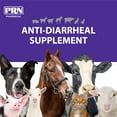thumbnail image 3 of PRN Pharmacal Endosorb Diarrhea Digestive Remedy Suspension, 4 Oz (3 Pack), 3 of 7