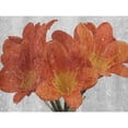 thumbnail image 3 of Phillip, Jamie 24x19 Black Modern Framed Museum Art Print Titled - Oranger In The Garden, 3 of 5