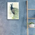 thumbnail image 3 of Epic Art 'Watercolor Peacock Portrait II' by Grace Popp, Acrylic Wall Glass, 16"x24", 3 of 3