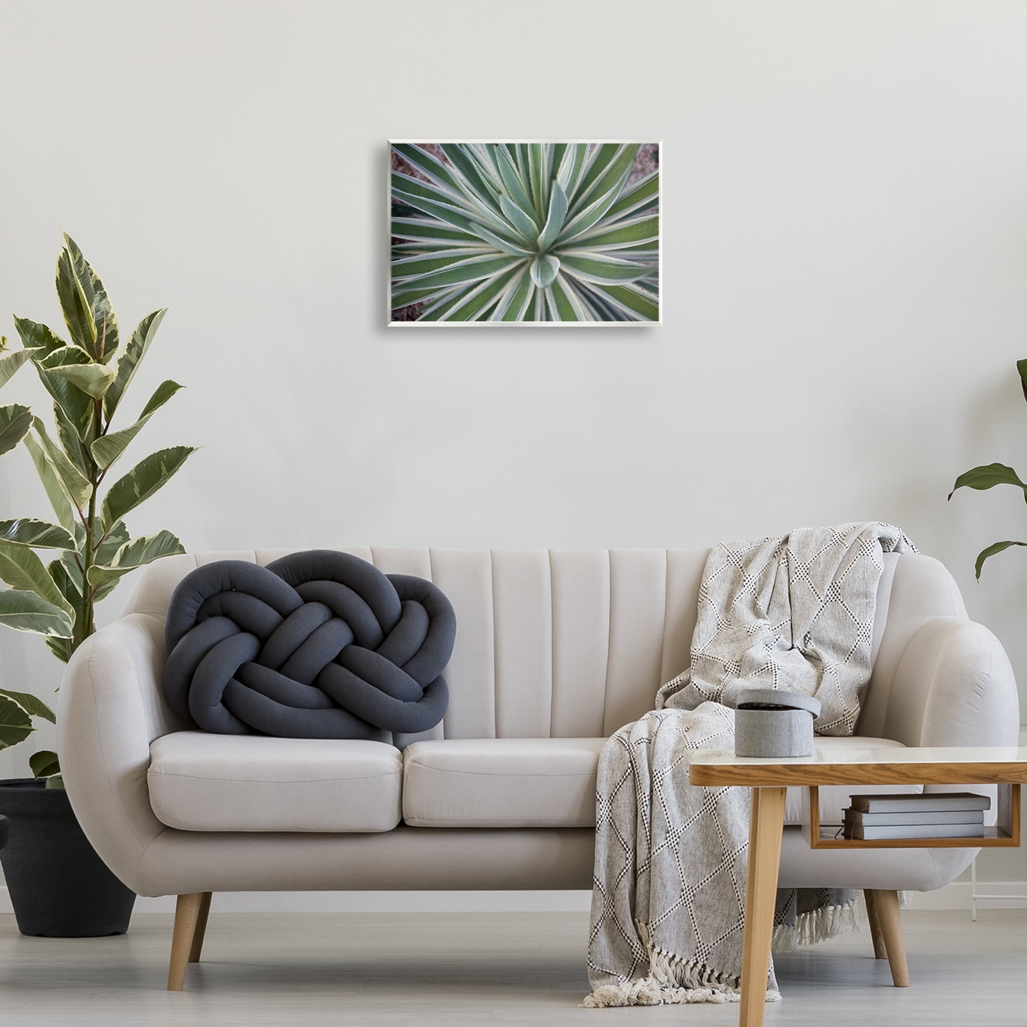 Stupell Industries Centric Succulent Leaves Botanical & Floral Photography Unframed Art Print Wall Art, 19 x 13