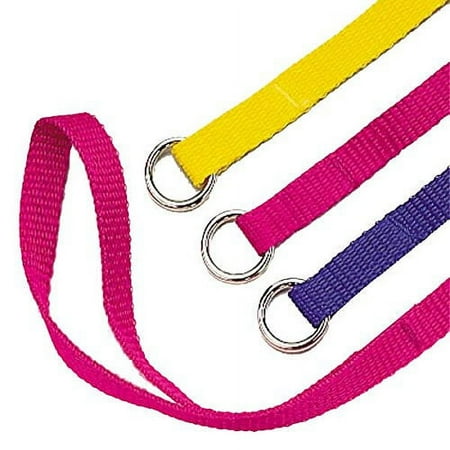Slip Style Kennel Dog Lead Bulk Packs Wholesale Dogs Leads Vet Groomer Shelter(6 Foot x 1 inch 24 Lead Bulk Pack)