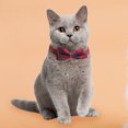 thumbnail image 3 of Collar de gato de algodón PU, Collar de entrenamiento de perro con lazo ajustable, lindo para niña o niño perro Hugtrwg Para estrenar, 3 of 8
