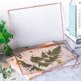 thumbnail image 4 of 8" x 10" Wall Hanging Brass Glass Artwork Certificate Photo Picture Display Frame, Ornament Plant Specimen Clip, Modern Vertical Decor Card Holder, Glass Frame Only, 4 of 4