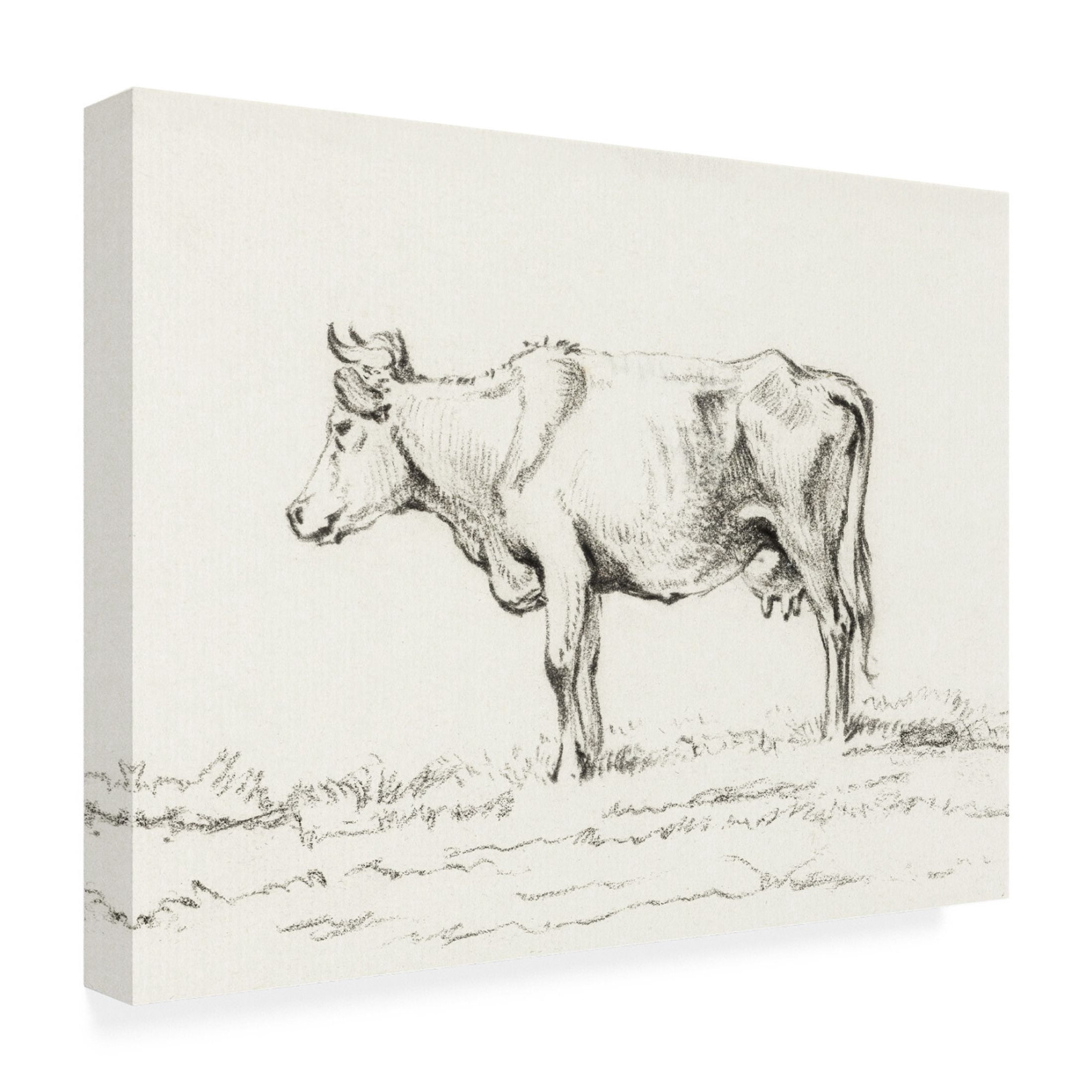 Trademark Fine Art Jean Bernard  Bernard Cow Sketch I Canvas Wall Art
