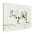 thumbnail image 4 of Trademark Fine Art Jean Bernard  Bernard Cow Sketch I Canvas Wall Art, 4 of 4